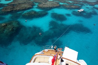 MASTEKA 2 -  Great Barrier Reef snorkelling